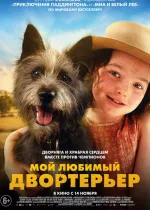 Мой любимый двортерьер